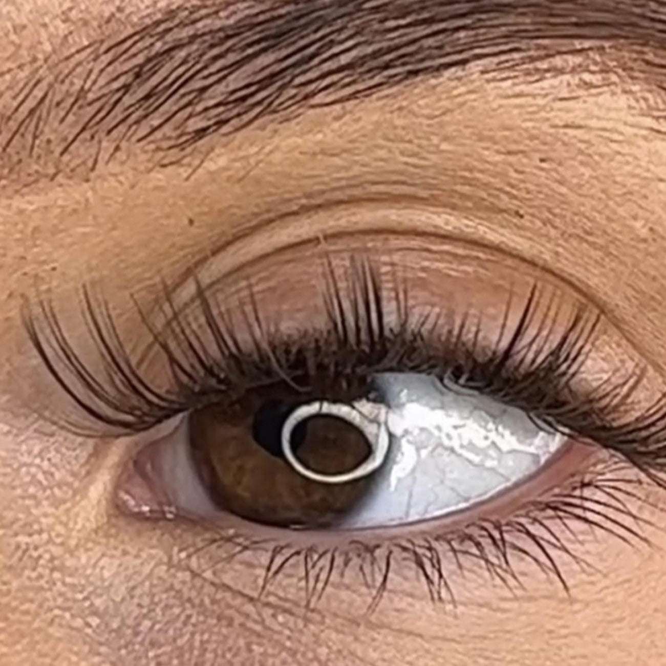 Tegan - 3D Black/Brown 'C' Curl Lash Ribbons®