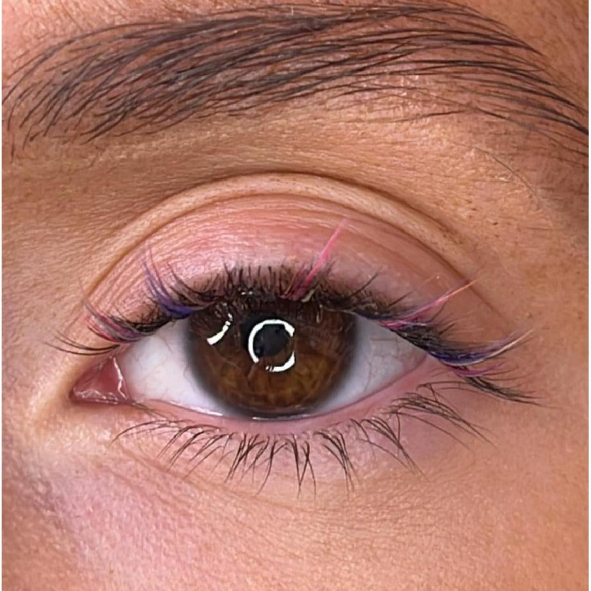 Festive Starter Kit with Clear Lash Bond