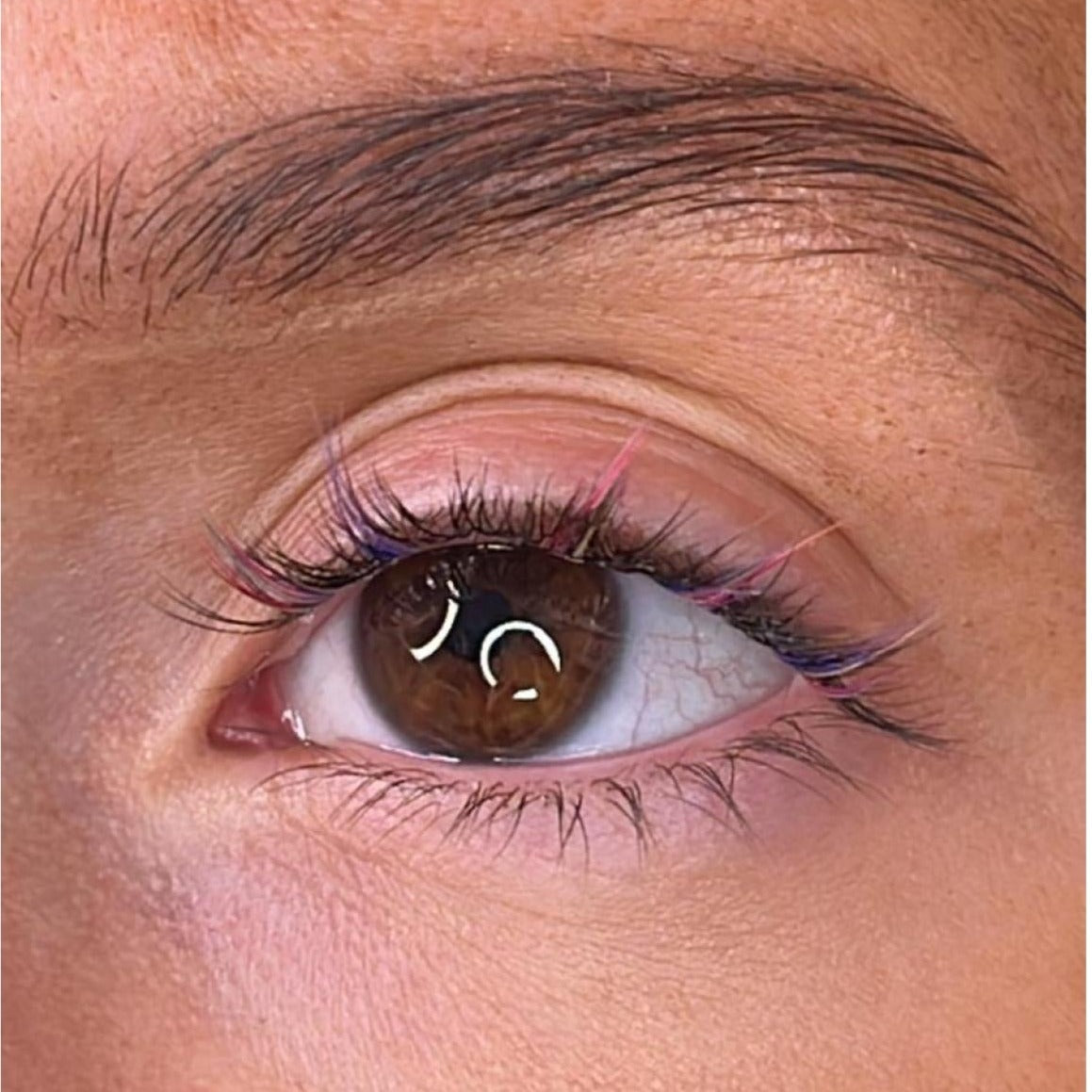 Festive Starter Kit with Clear Lash Bond