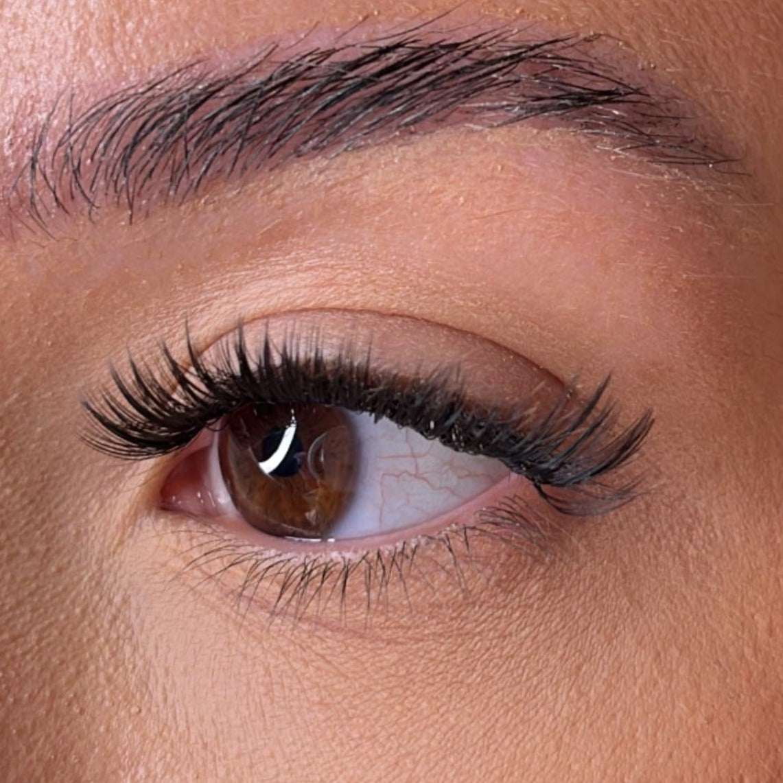 The Medium Lash Collection With No Name