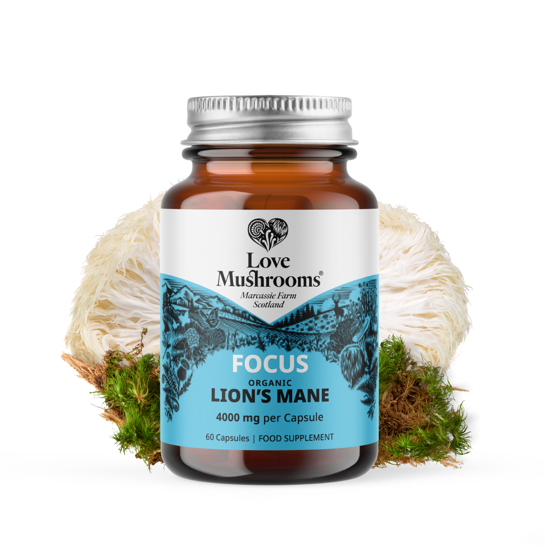 Lion’s Mane Capsules (60) – 4000mg per Capsule