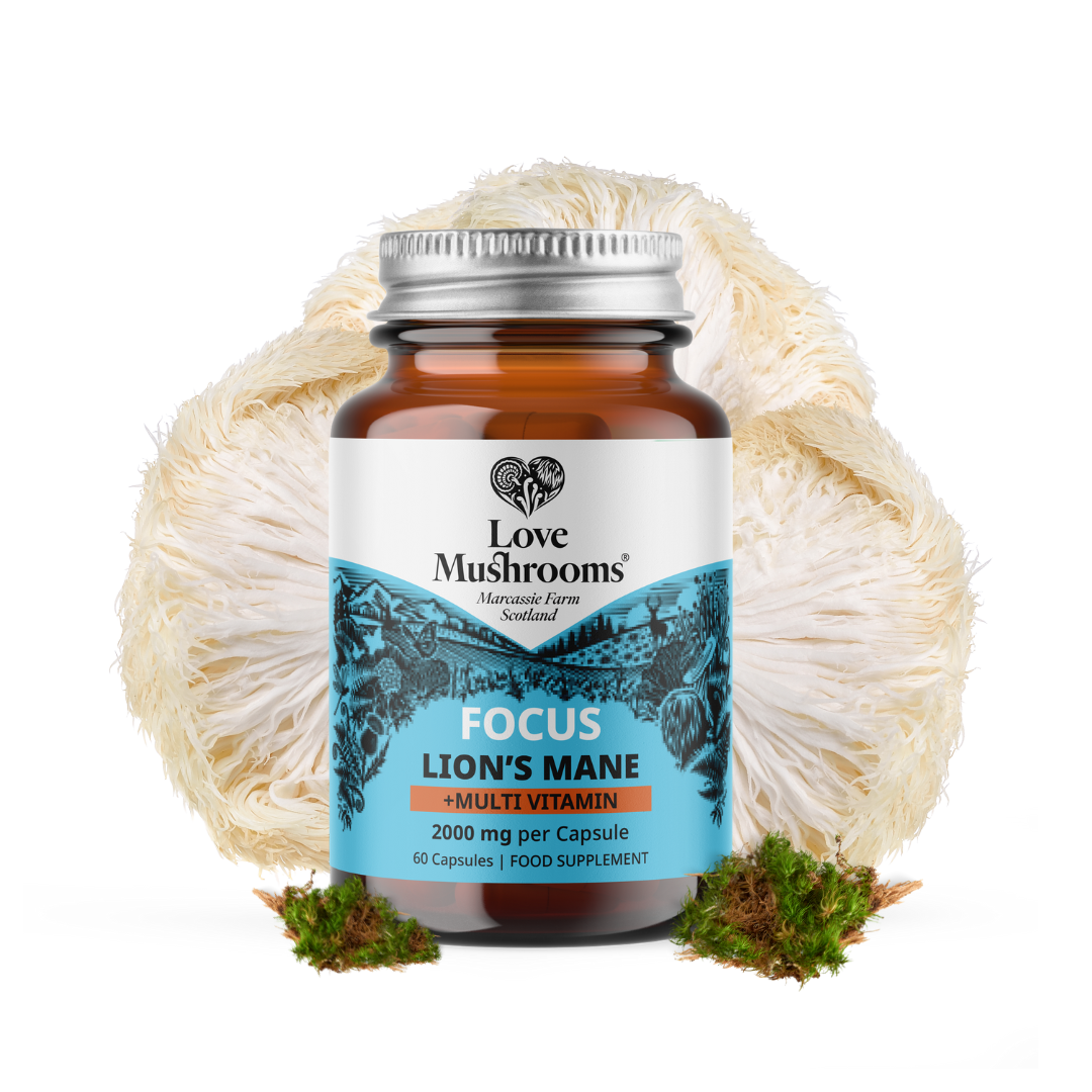 FOCUS – Lion’s Mane + Multivitamin (60 Capsules)
