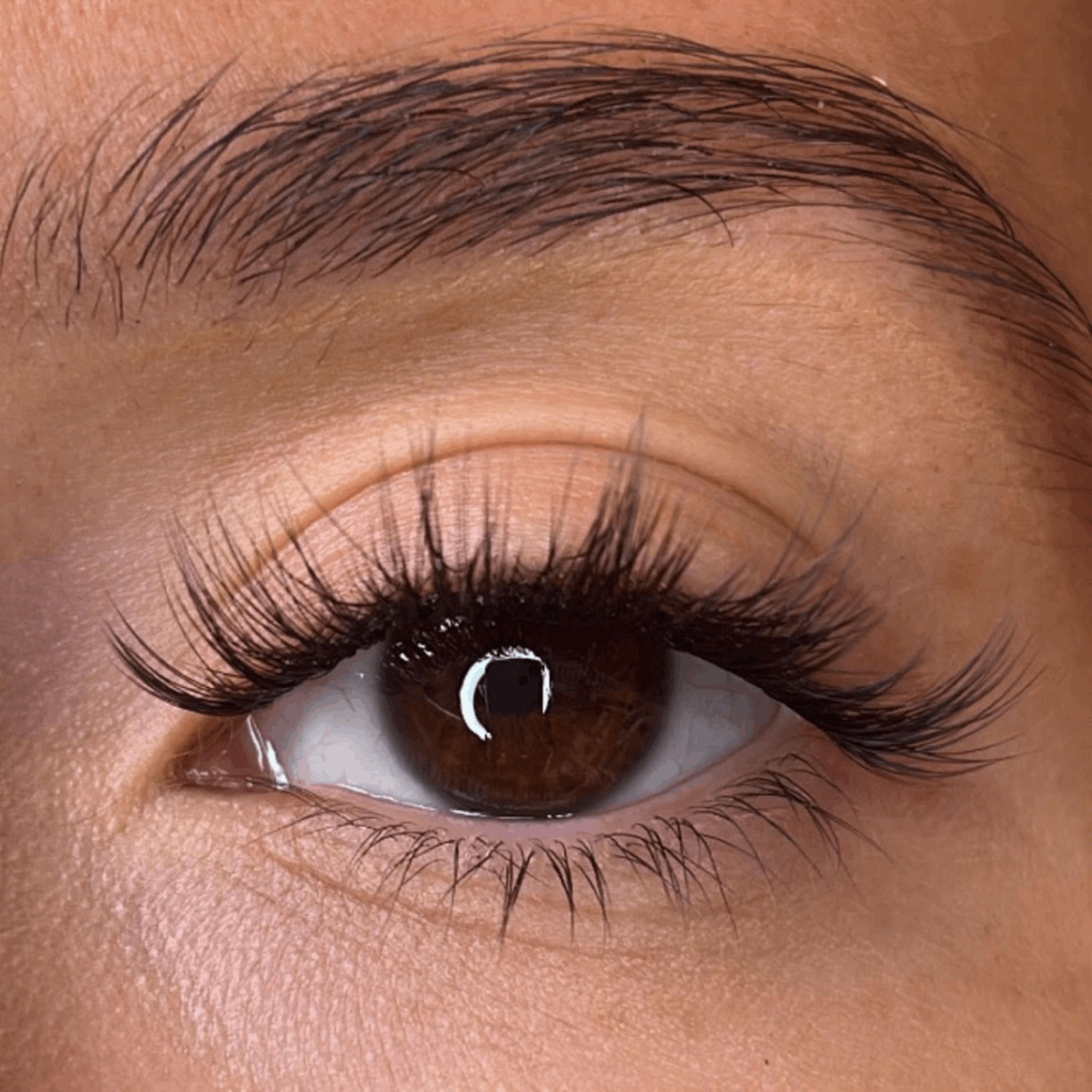 Olive - 3D 'D' Curl Lash Ribbons®