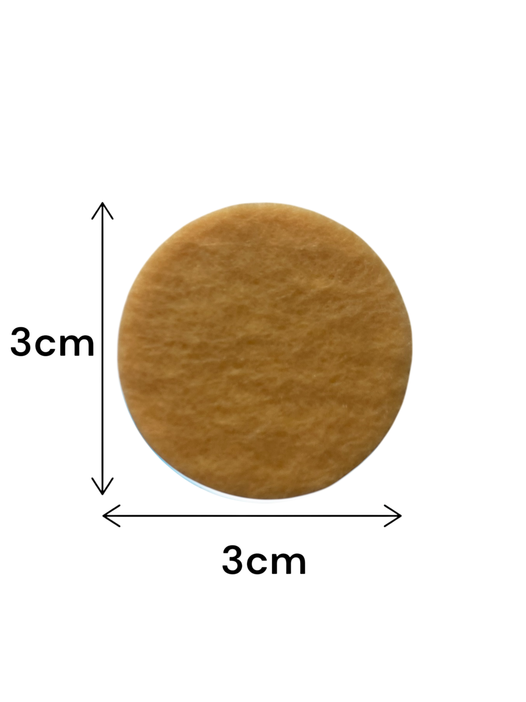 Caramel Pumpkin Latte Scented Vacuum Hoover Discs