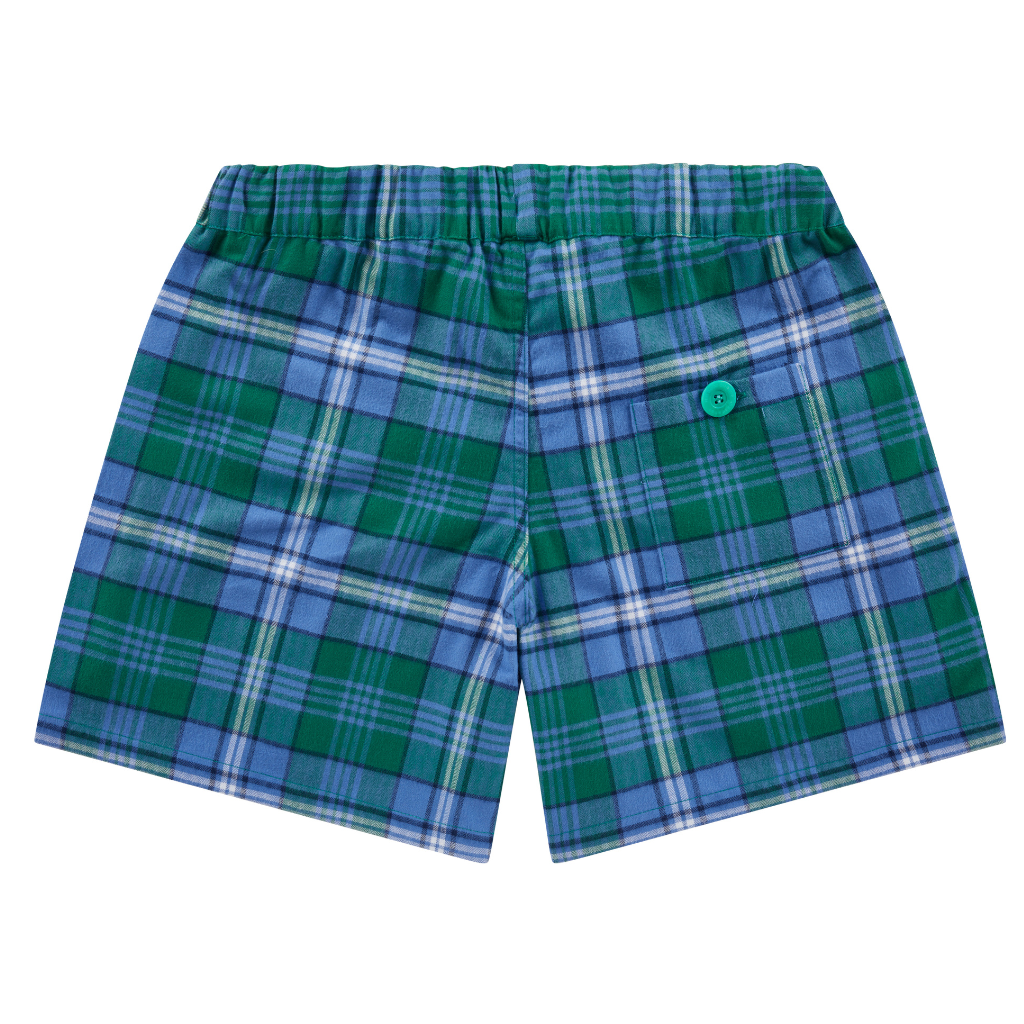 Green Sea Turtle shorts