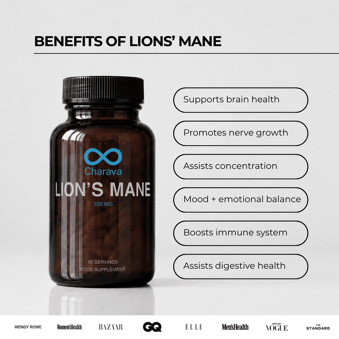Lions Mane Mushroom 500mg